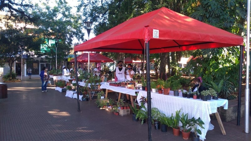 Esta semana se llevará adelante la Feria día de la Madre de “Eldorado Produce”.