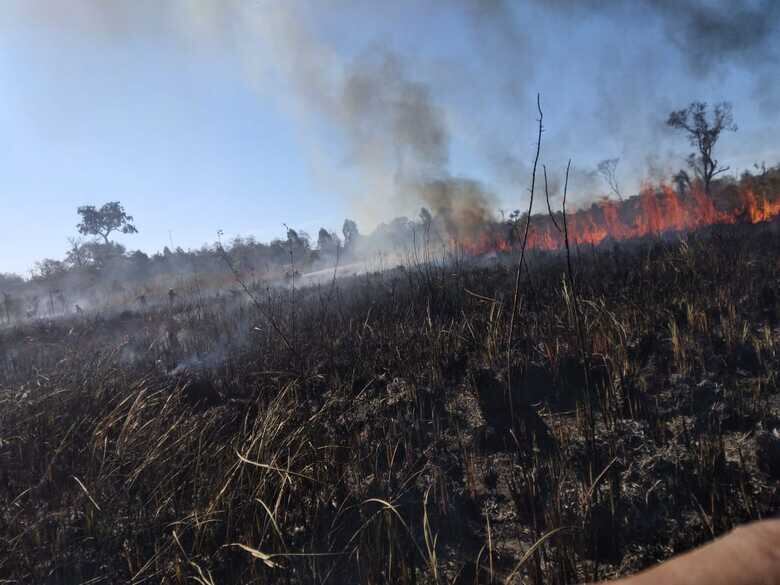 La sequía ocasionada por las heladas aumenta el riesgo de incendio.