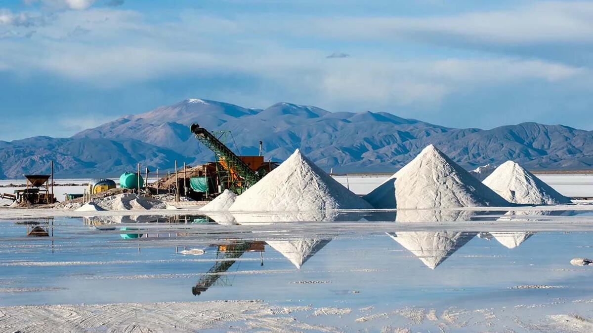 Piden que el litio sea declarado “recurso natural estratégico”: los desarrollos económicos que apuestan por el “oro blanco”