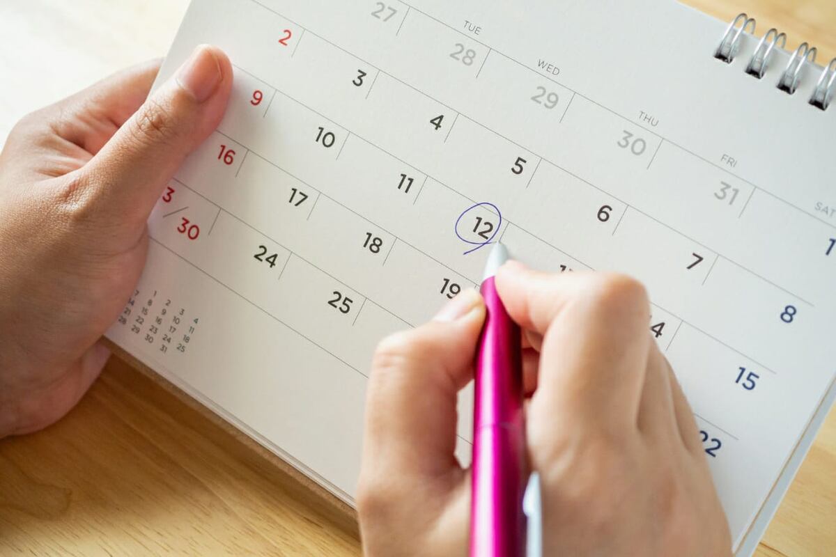 Calendario de feriados 2024: uno por uno, todos los fines de semana largos y los días no laborables en Argentina