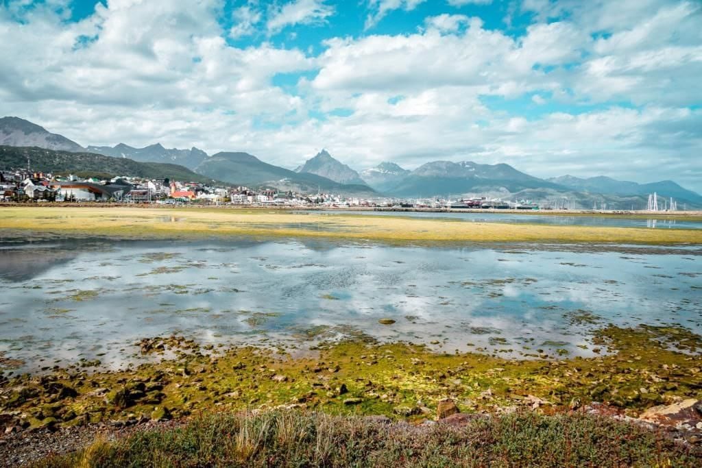 La aparición de algas verdes en las aguas de la Bahía Encerrada sorprendió a Ushuaia