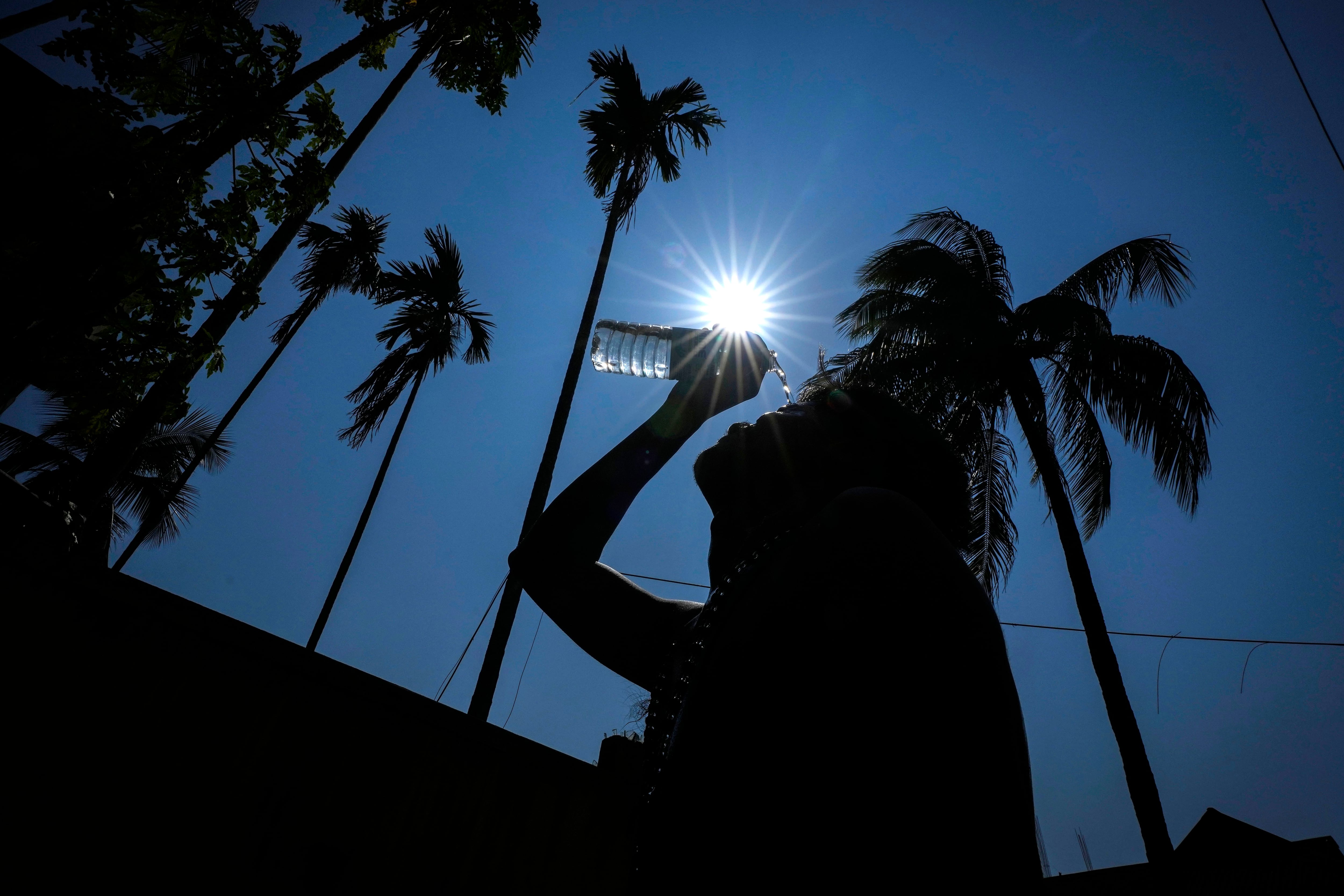 Se viene el calor en agosto (Foto AP/Anupam Nath)