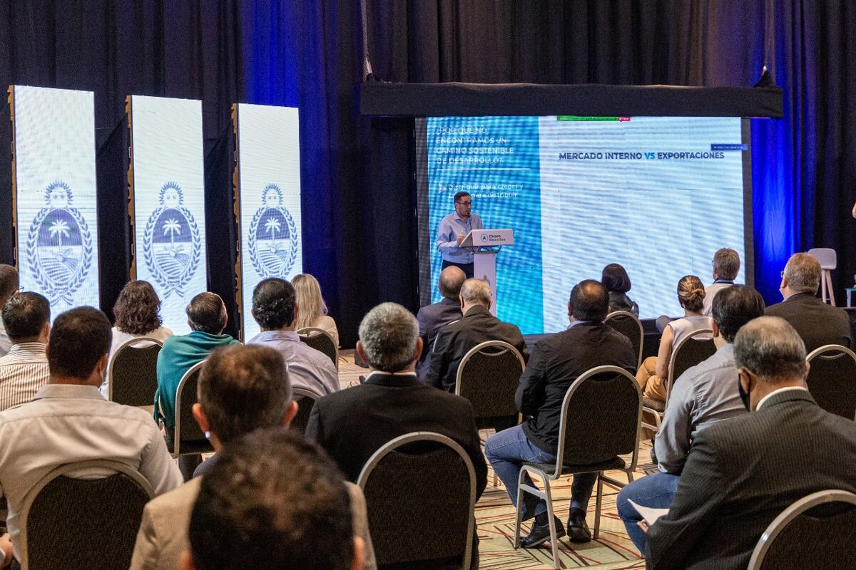 El gobierno provincial presentó su plan económico Chaco Reactiva