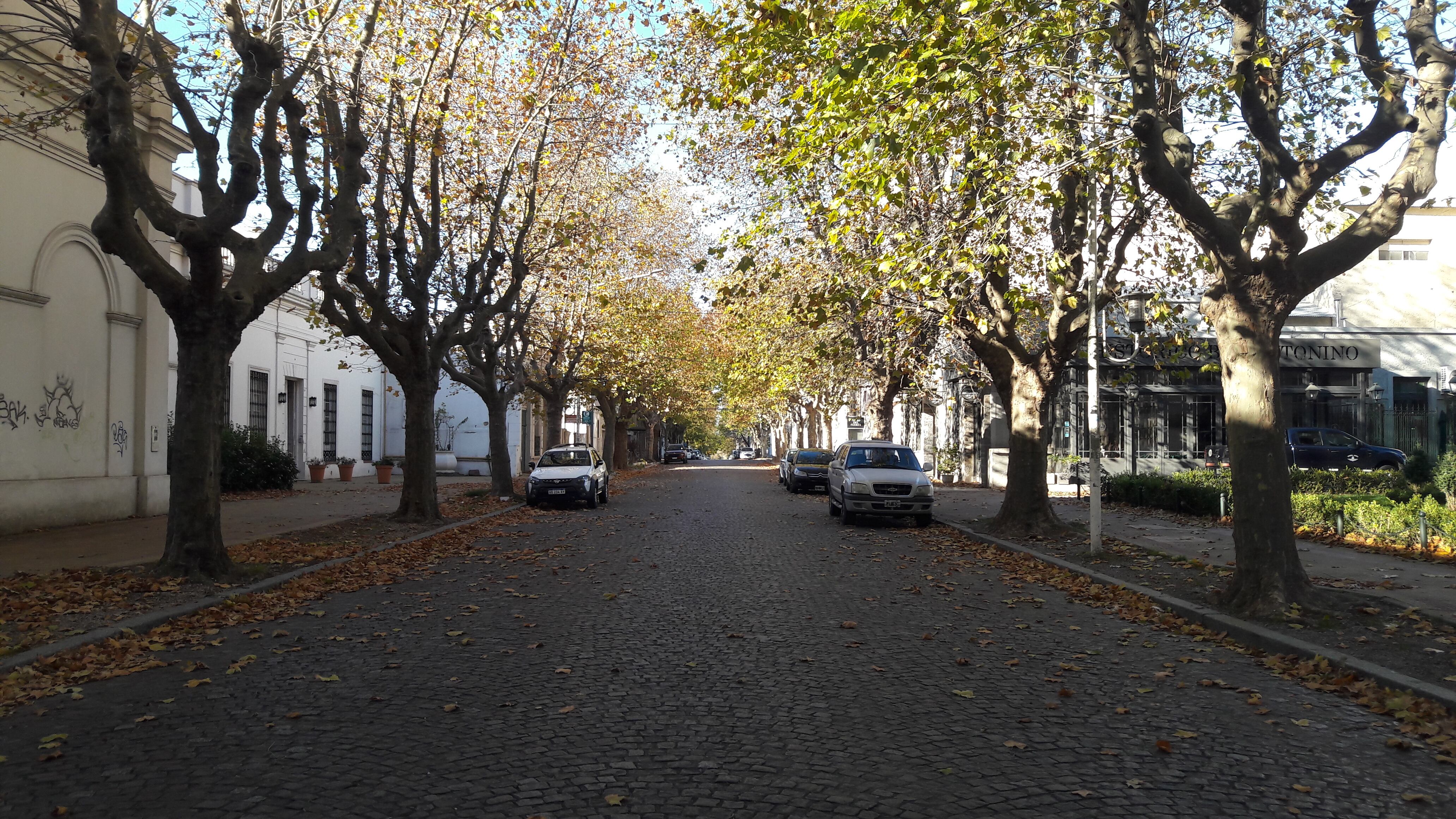 Calles vacías, así está Tandil durante las restricciones tras la ola de casos de coronavirus. 