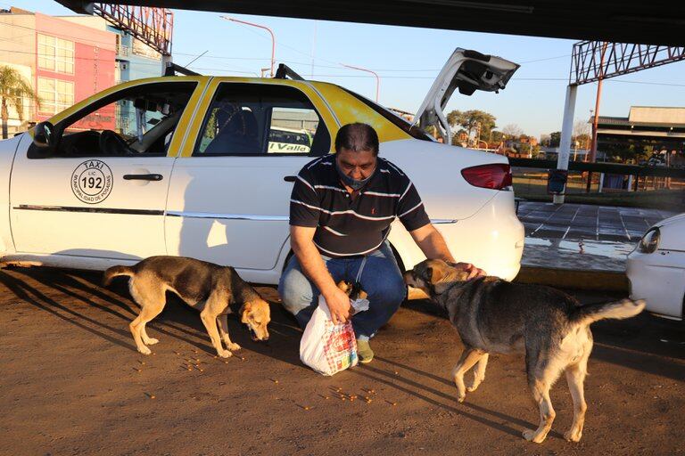 Lleva siempre balanceado y agua por si debe auxiliar a algún animalito en la calle.