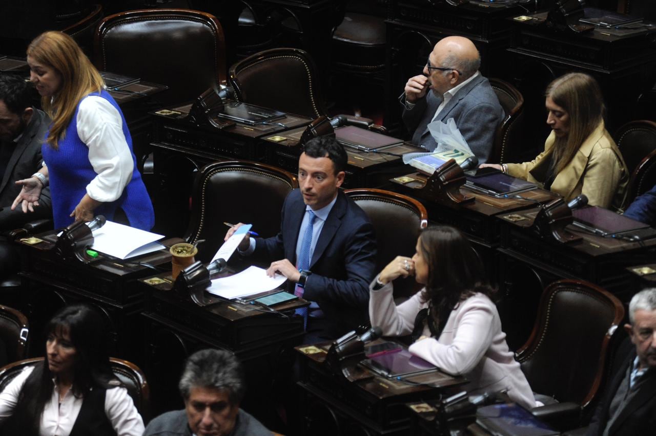 El jefe del bloque UCR, Rodrigo De Loredo, en la sesión por el presupuesto universitario (Foto: Federico López Claro)