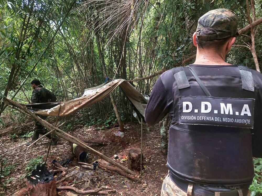 Desmantelan campamento de cazadores furtivos en San Pedro.