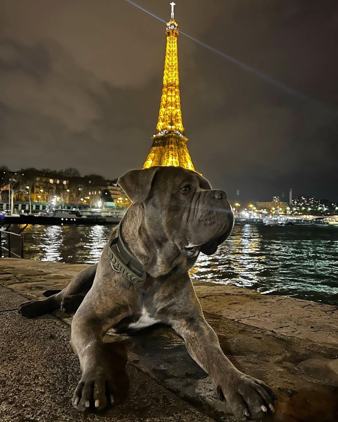 Tano Icardi en París.