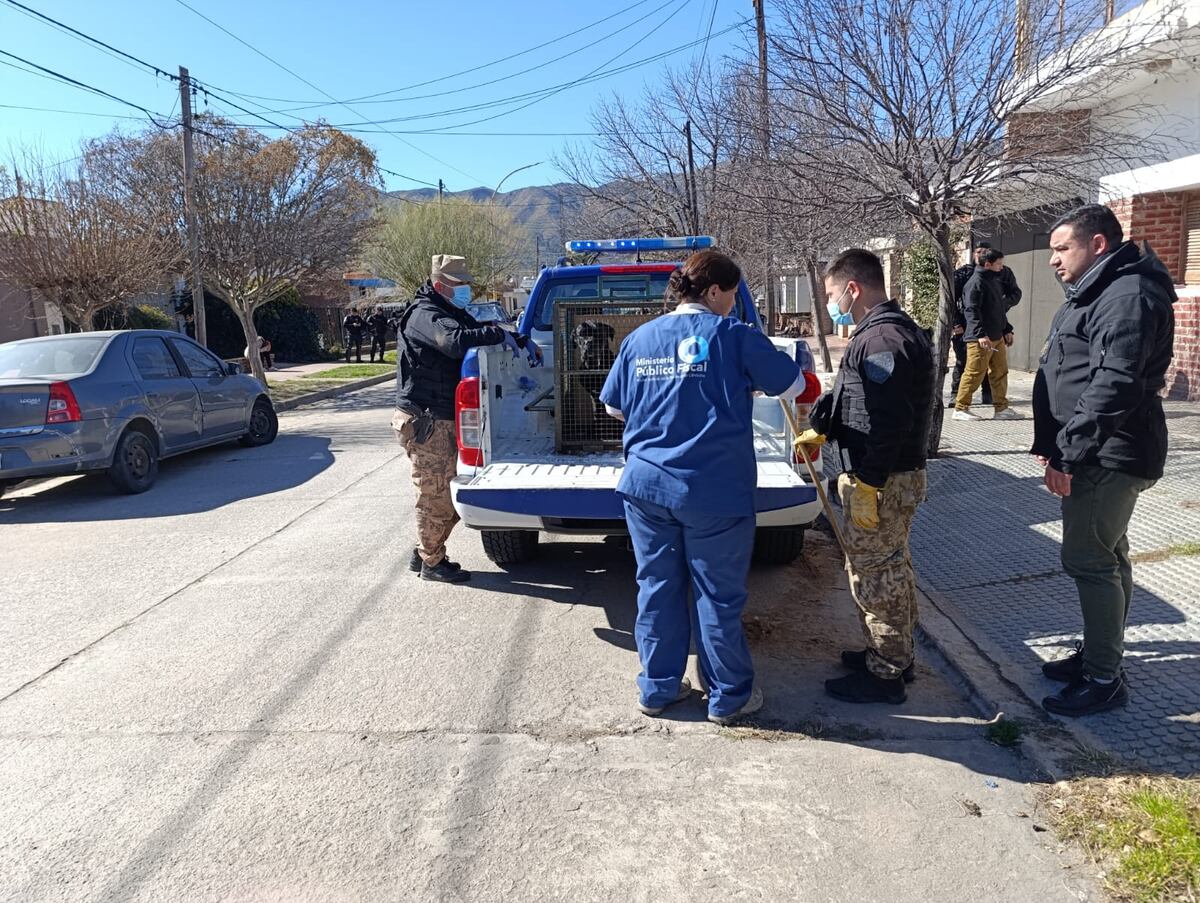 Rescatan 14 perros en grave estado desde un criadero ilegal en Cosquín