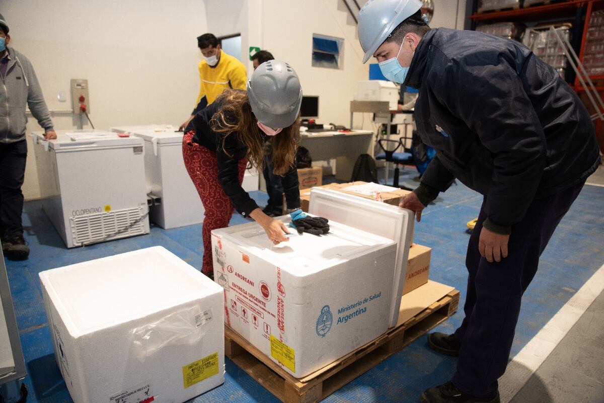 Coronavirus: llegaron 1.170 dosis de Pfizer a San Luis