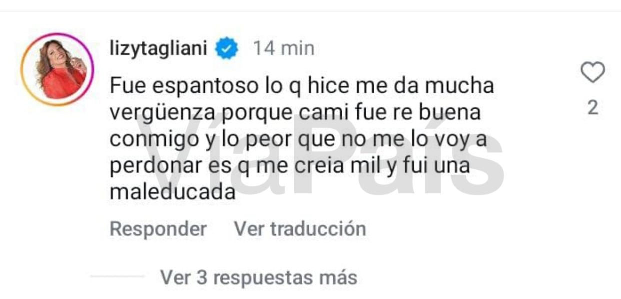 La respuesta de Lizy Tagliani a Vía País tras el escándalo con Cami Homs