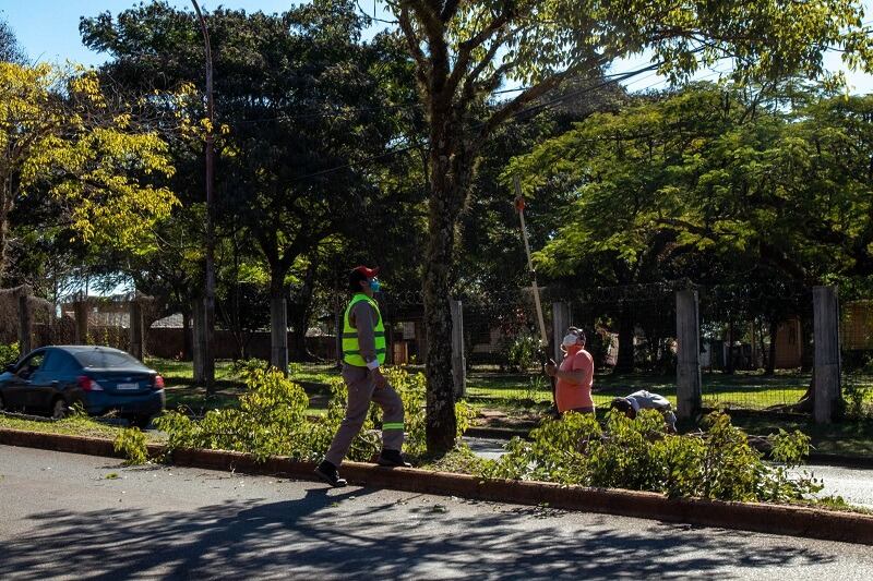 Operativos de poda en la capital provincial