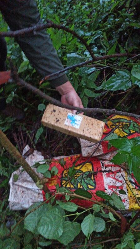 Desbaratan cargamento de marihuana en Colonia Wanda.