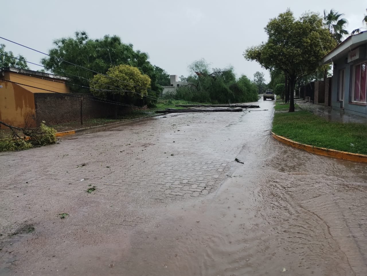 Temporal en Sebastián Elcano. (Gentileza)