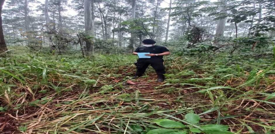 Recuperan herramientas presuntamente robadas en una zona de malezas en Montecarlo.