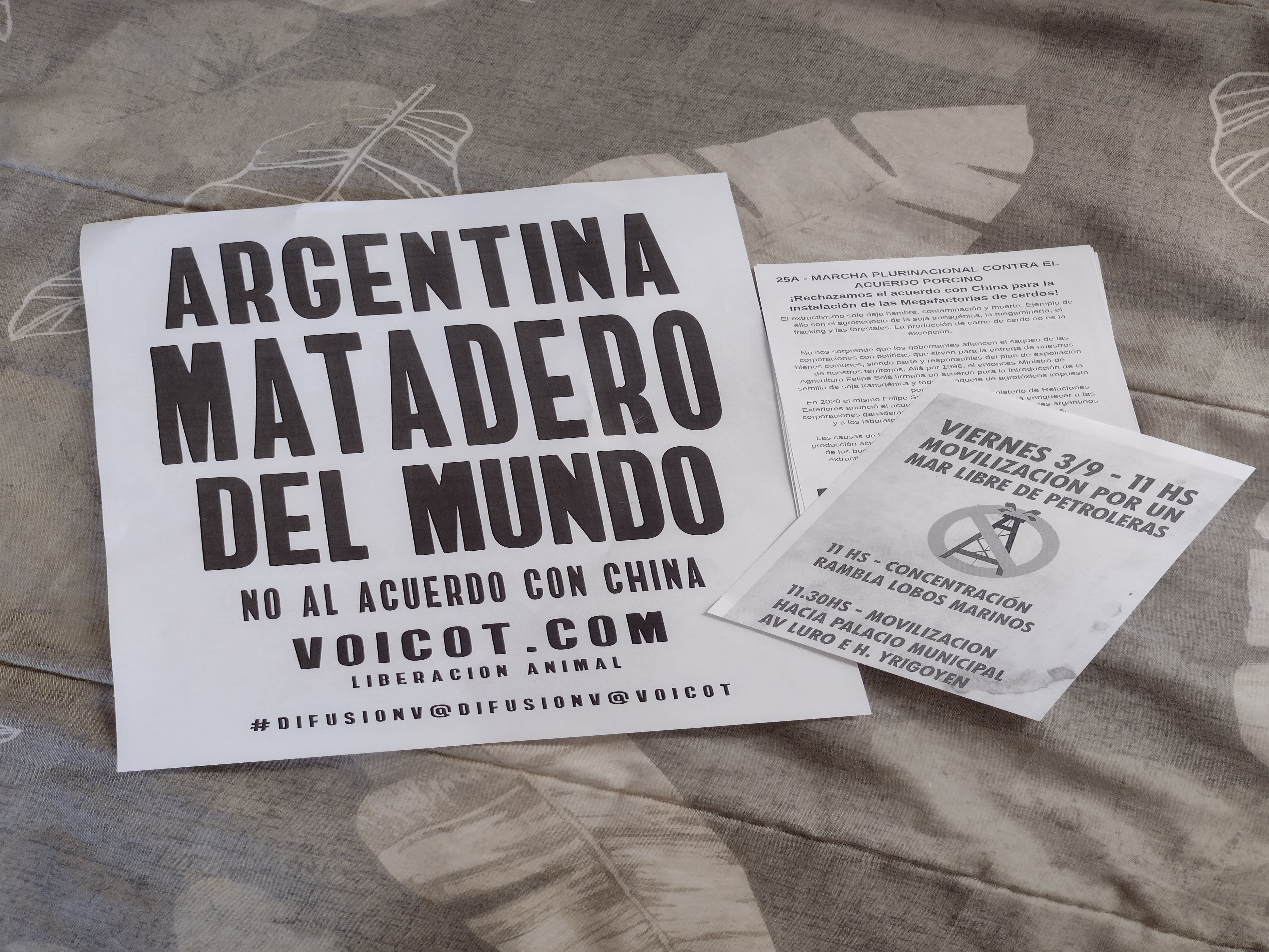 Stefanía y Carolina se sumaron a las acciones de protesta que se realizaron en todo el país para decirle “No” al acuerdo porcino entre Argentina y China