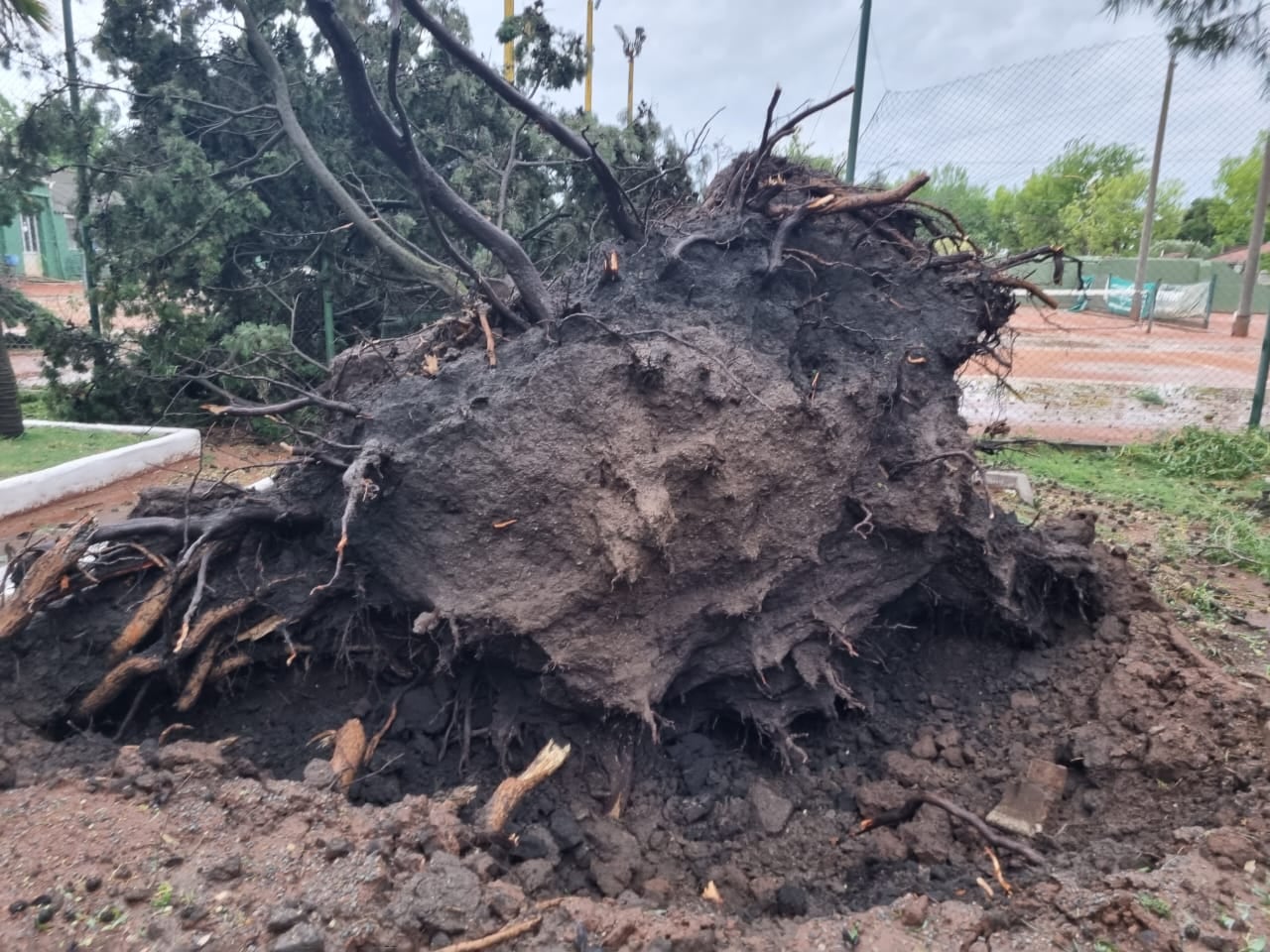 Destrozos en  Costa Sud a causa del temporal