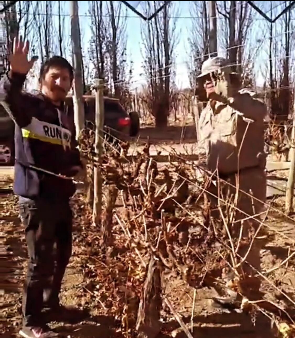 Daniel Vilchez junto a su padre, podando la viña de su finca en San Martín.