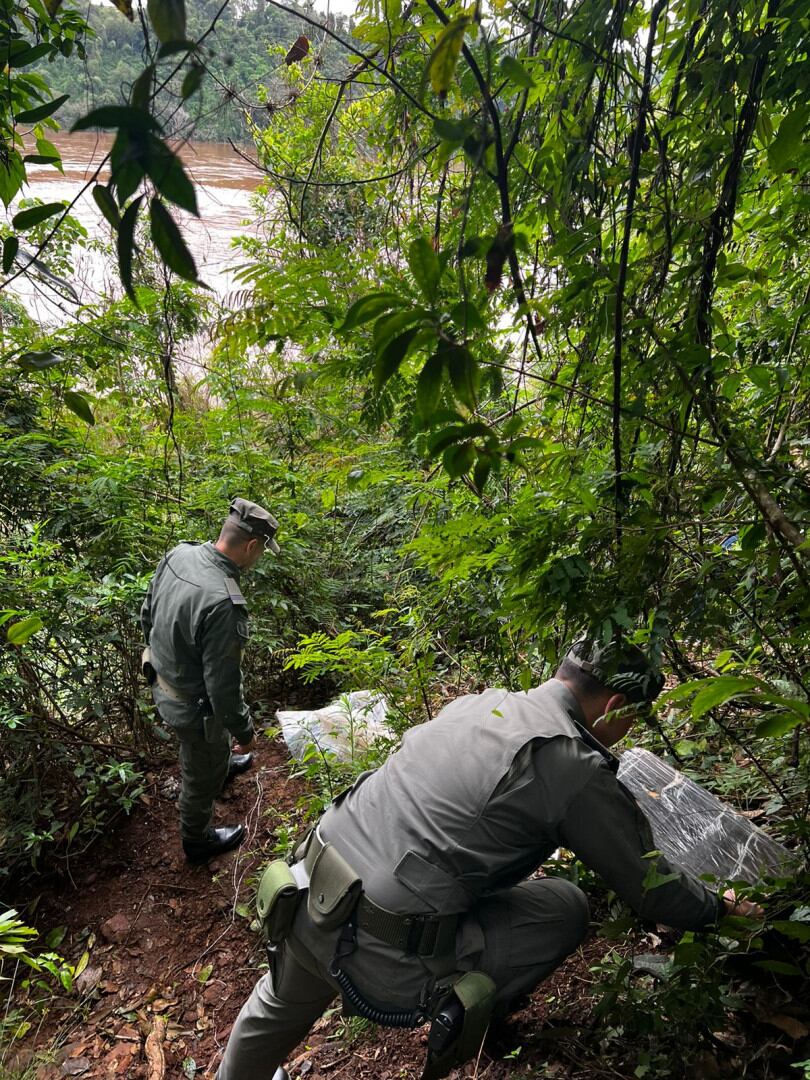 Puerto Iguazú: hallan cargamento de marihuana abandonado.