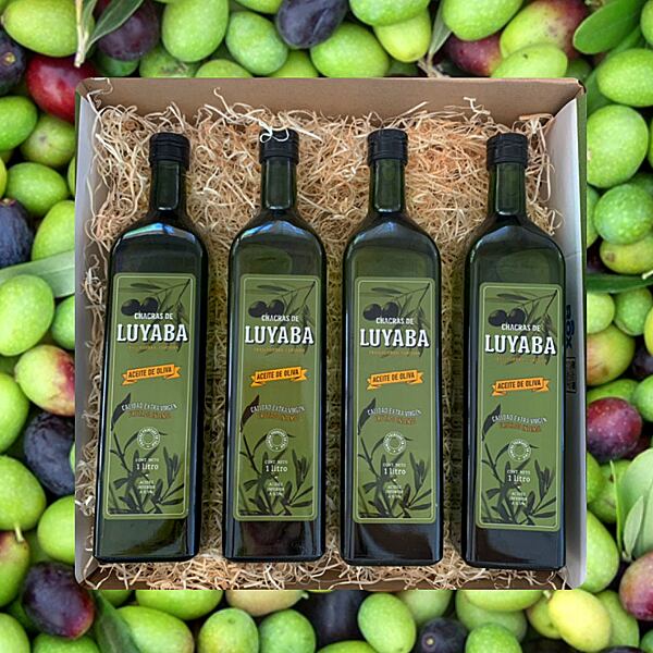 Aceite Luyaba, premiado en Caminos y Sabores 2024.