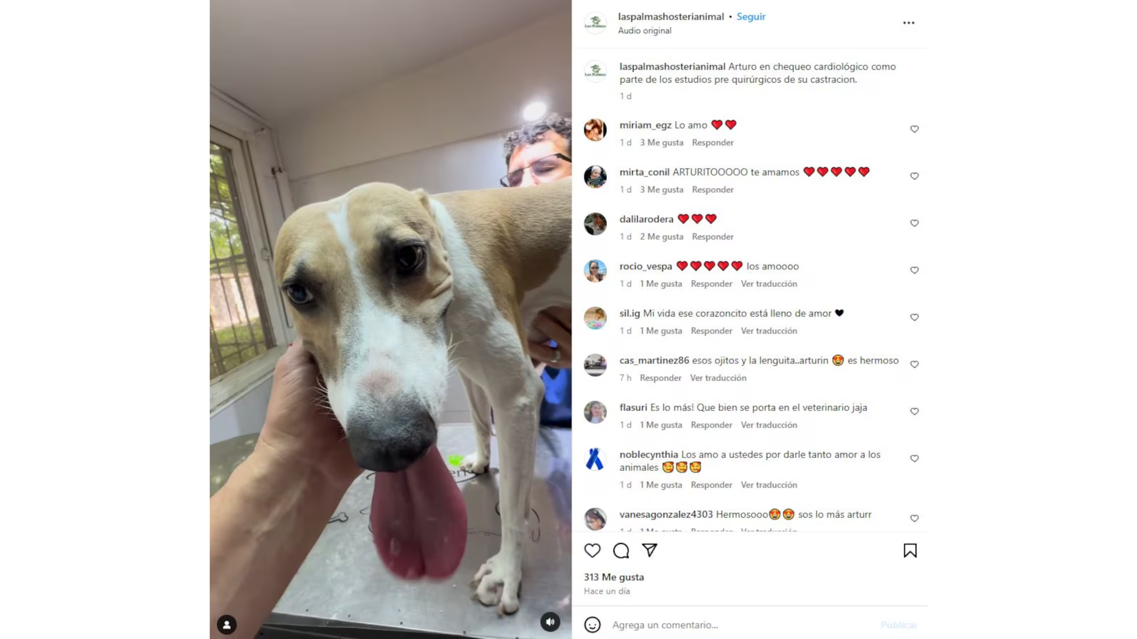 La publicación sobre Arturo, el perro de Gran Hermano, que preocupó a los seguidores de Martín Ku.