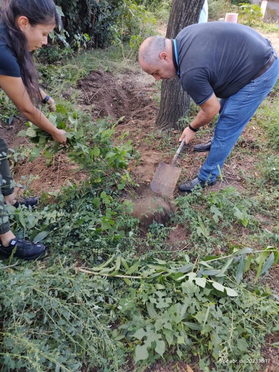 Procedimiento en Laboulaye.