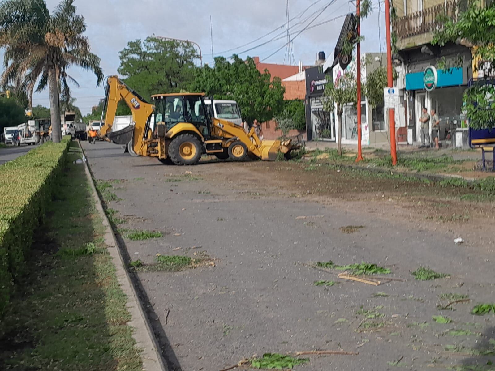 Temporal en Tres Arroyos: evacuados, árboles  caídos, techos volados y daños