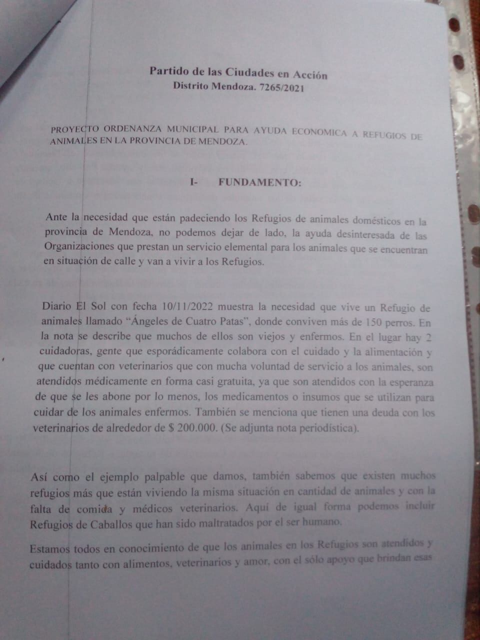 Godoy Cruz: presentaron un proyecto para que se destine una parte de lo recaudado a los refugios de animales