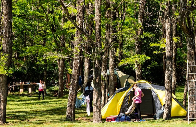 Camping San Felipe cuenta con capacidad para 150 carpas.