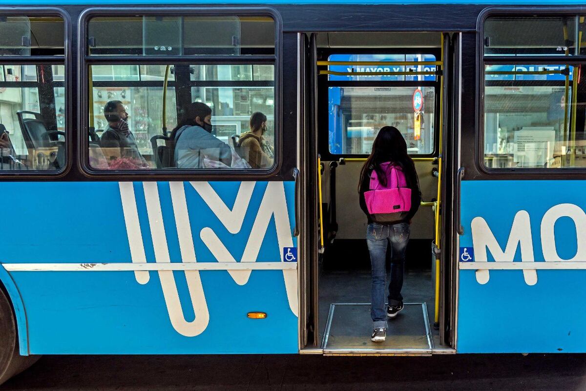 Los colectivos deberán circular con las ventanillas bajas y trabadas