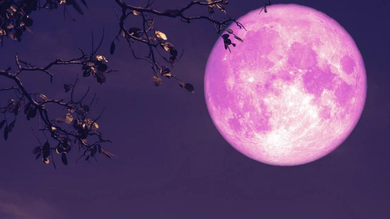 Así luce la luna llena rosa