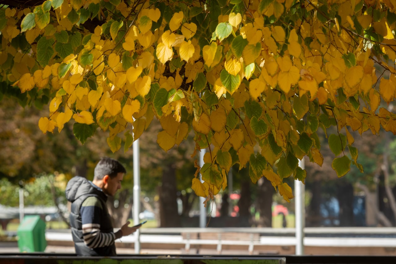 Parque Cívico, otoño en Mendoza 

Foto: Ignacio Blanco / Los Andes 