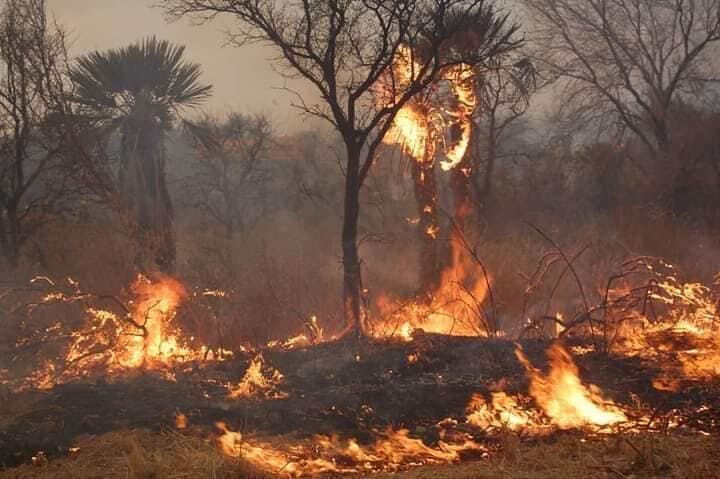 Incendio de proporciones es combatido por 16 dotaciones de bomberos en la zona de Capilla del Monte. (Gentileza Ariel Luna)