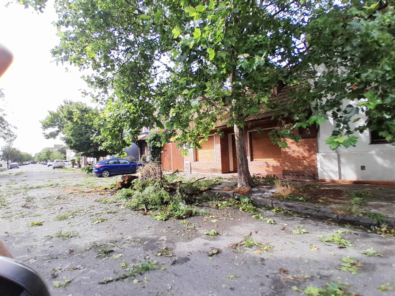 Temporal en Tres Arroyos: evacuados, árboles  caídos, techos volados y daños