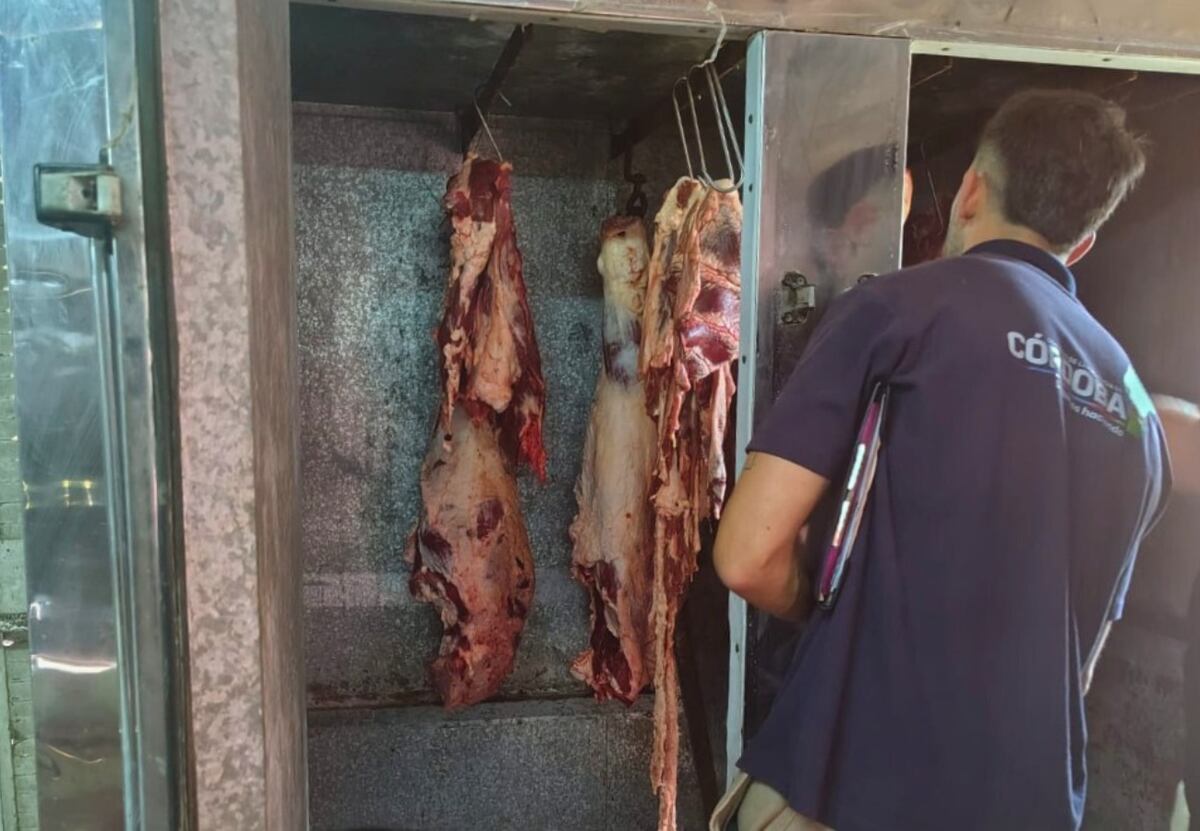 Decomisaron más de 650 kilos de carne porcina en Córdoba: los motivos del Gobierno