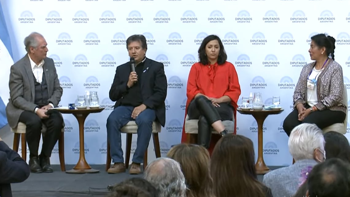 El periodista y escritor Eduardo Barcelona,  el rector de la UNJu Mario Bonillo, la diputada Leila Chaher y la intendenta Karina Paniagua, en el primer panel de la jornada en el Congreso.