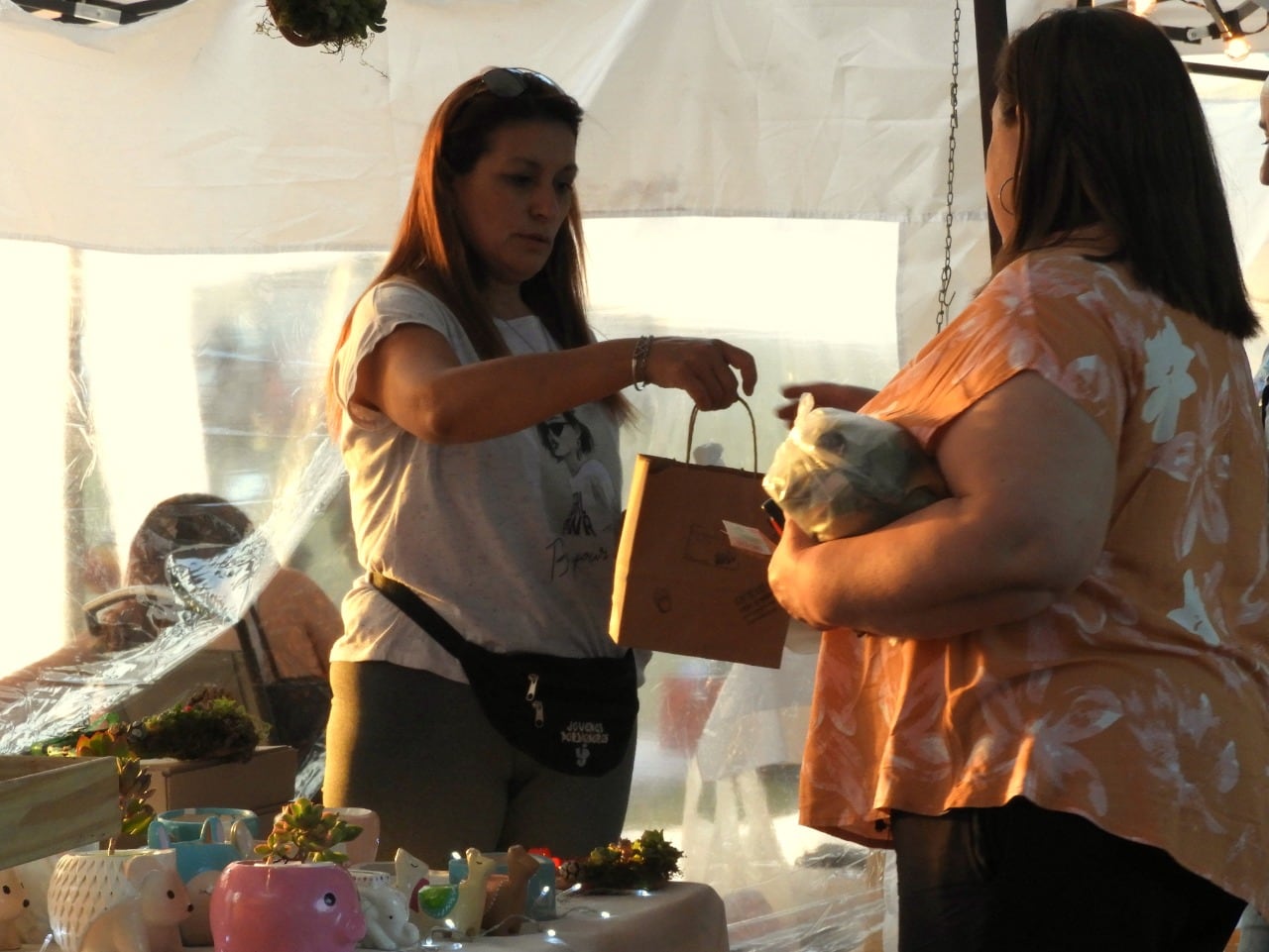 Buena concurrencia a la Feria de Emprendedores del Parque San Martín.