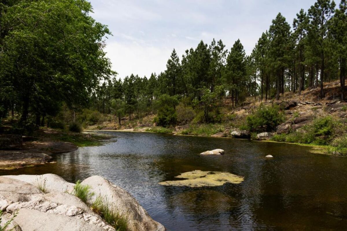 Sitios para conocer en Punilla: Flor serrana, el paraíso de la tranquilidad pegado a Tanti