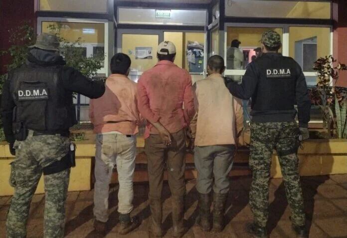 Tres hombres detenidos y armas secuestradas por caza furtiva en Comandante Andresito