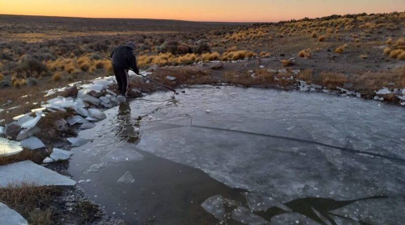 La temperatura más baja que registró Mencué fue en 1984 con -40°C.