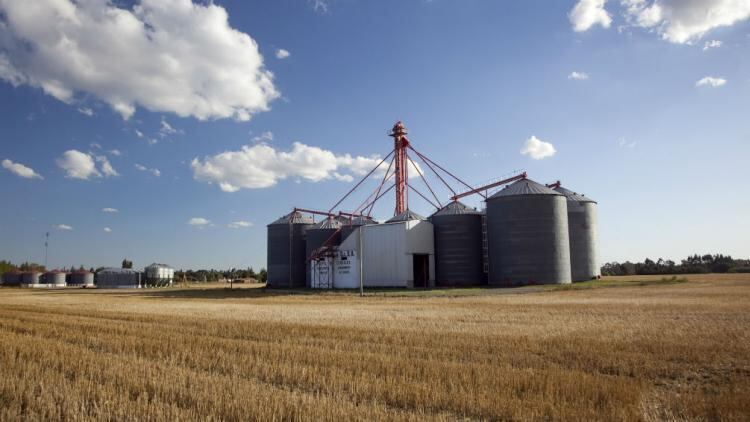 Acopio y negocio agrícola 