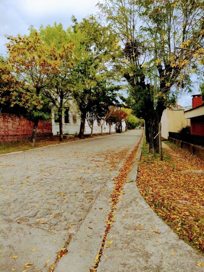 Las calles de la localidad.