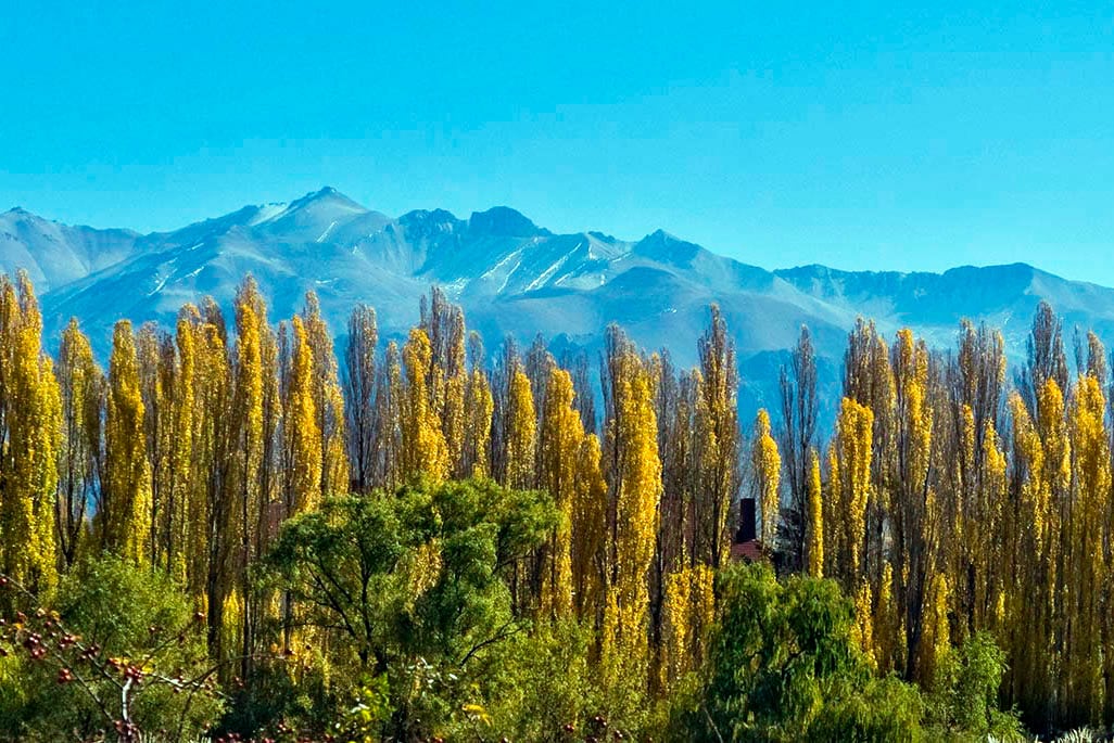 Turismo en Mendoza.