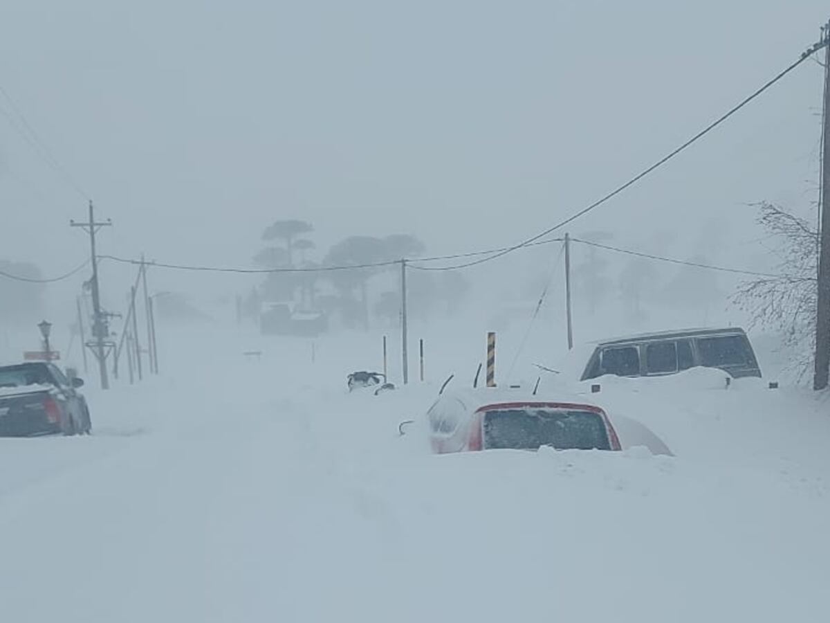 Un hombre de Neuquén tuvo que cavar un túnel de nieve para salir de su casa