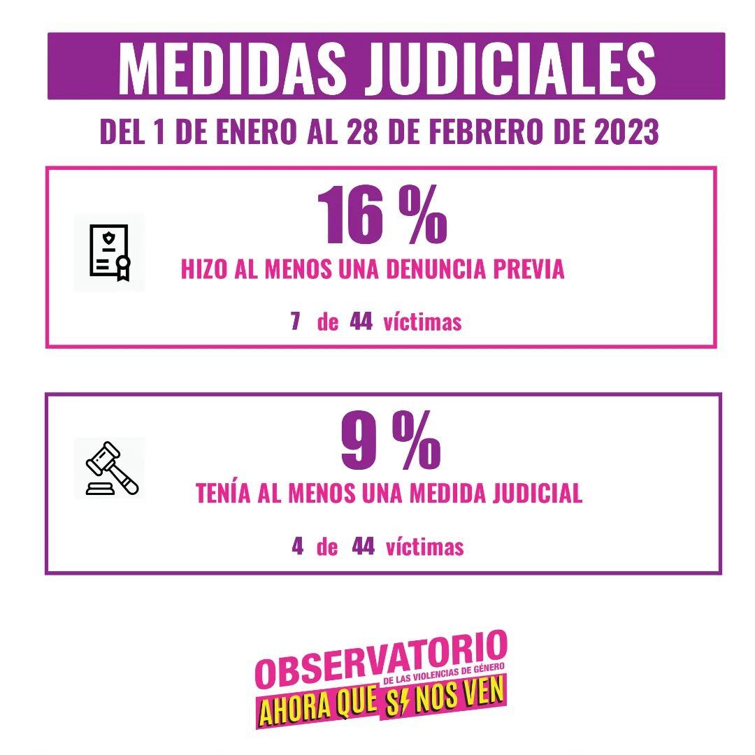 El 16% hizo al menos una denuncia previa y un 9% tenía al menos una medida judicial.