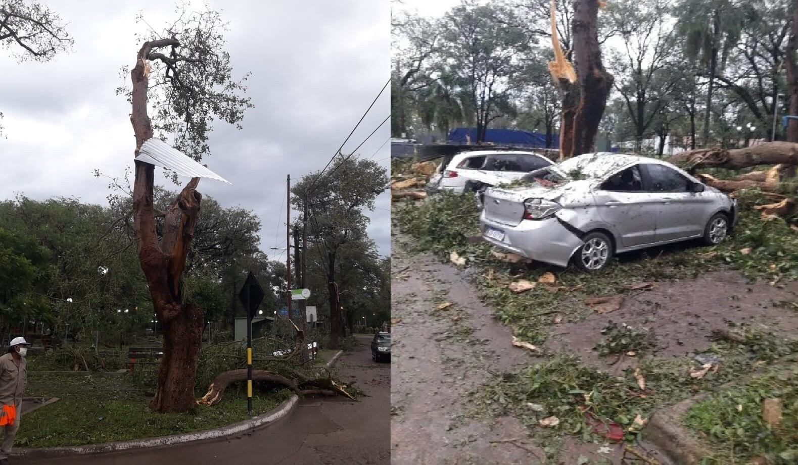 La fuerza de los vientos queda evidenciada en las imágenes, que muestran una chapa de zinc atrapada entre las ramas de un árbol a gran altura, y los daños provocados por pesadas ramas caídas sobre vehículos.