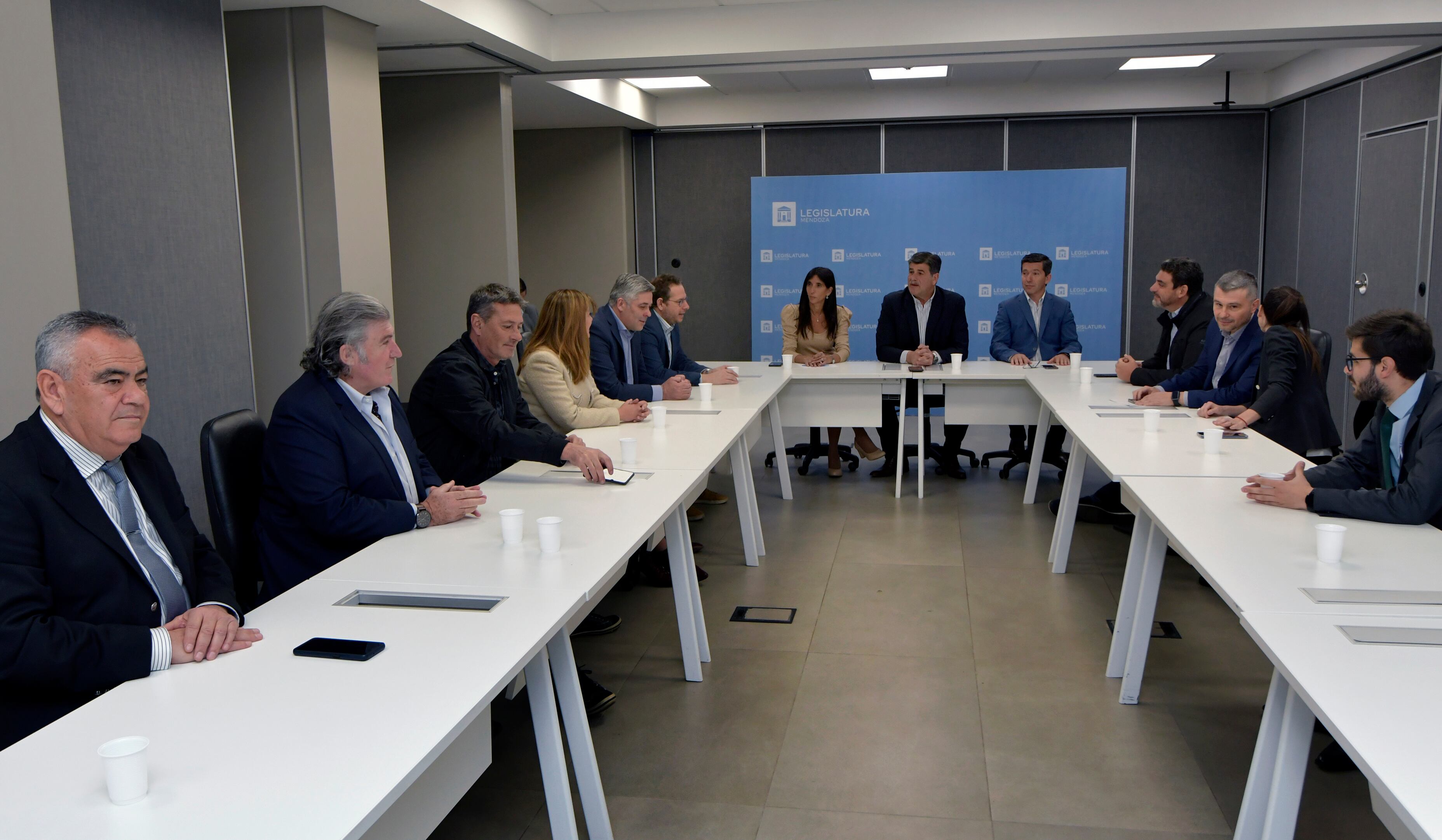 Legisladores provinciales del oficialismo y la oposición se reunieron esta mañana en el anexo del Senado de la Legislatura Provincial, para trabajar en un texto común en repudio del atentado que sufrió la vicepresidenta Cristina Kirchner. La única fuerza política que no participó fue el PRO
Emanuel Fugazzotto  junto a Mario Abed
Foto: Orlando Pelichotti / Los Andes