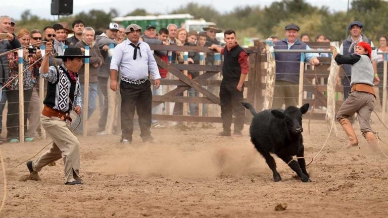 La jornada campera es el inicio oficial de la Fiesta Nacional de la Ganadería en General Alvear.