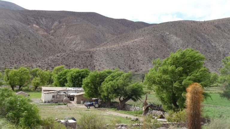 Trabajo, esfuerzo y un gran corazón: la historia de Inocencia Lamas (Los viajes de Vicky Yened)