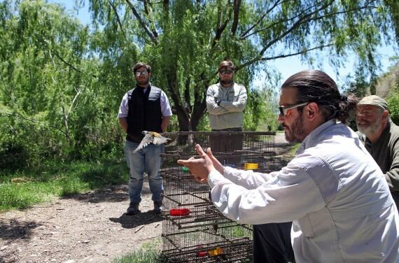 Se recuperaron más de 100 aves destinadas al comercio ilegal.